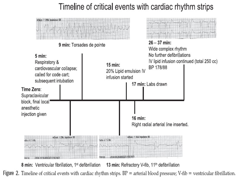 Warren, J. A., R. B. Thoma, et al. (2008). 
